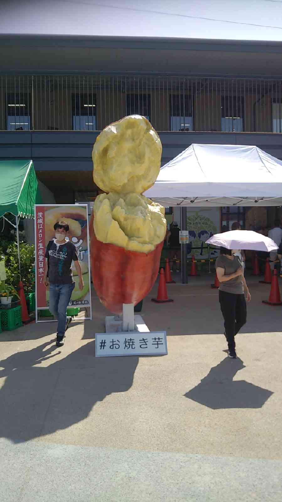 道の駅 常総の写真