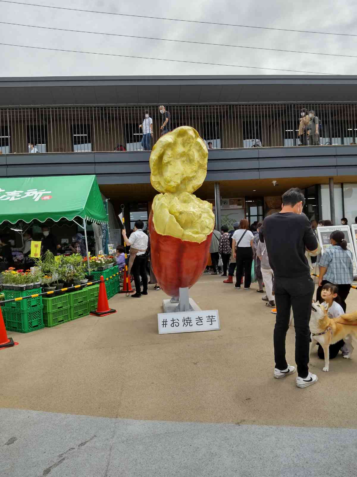 道の駅 常総の写真
