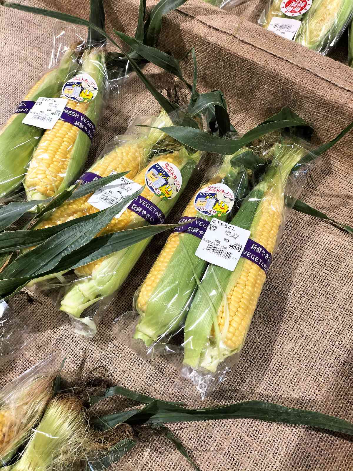 道の駅 まえばし赤城の写真