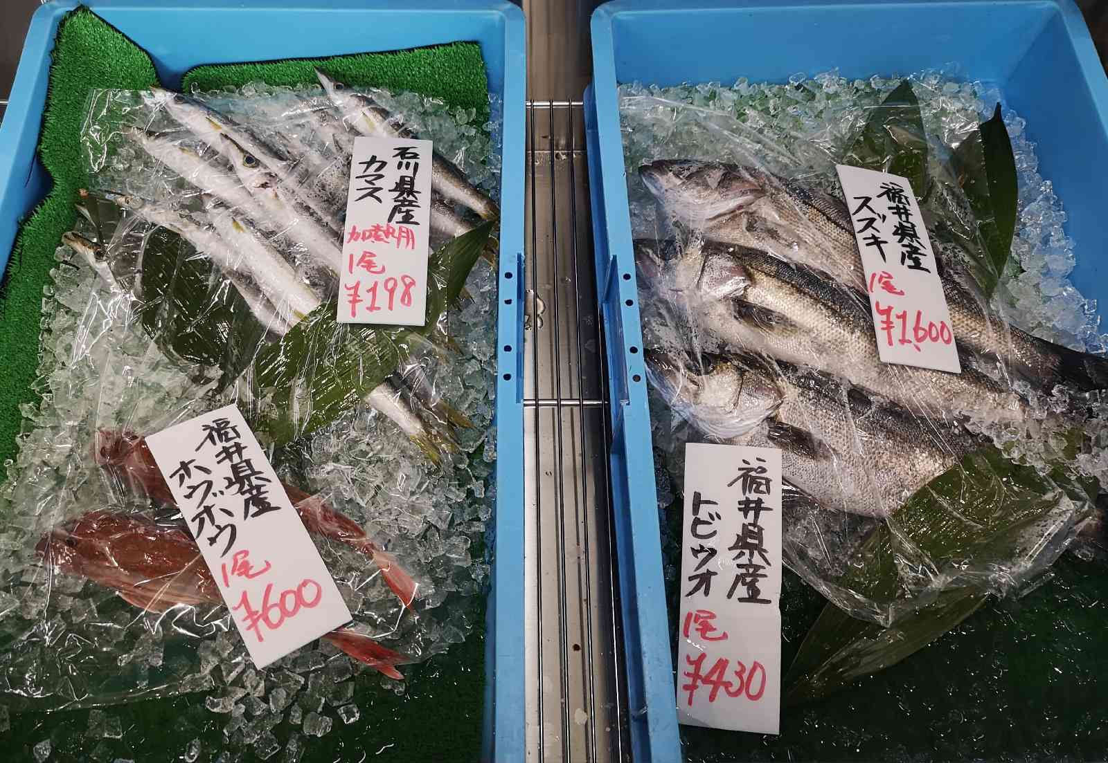 道の駅 越前たけふの写真