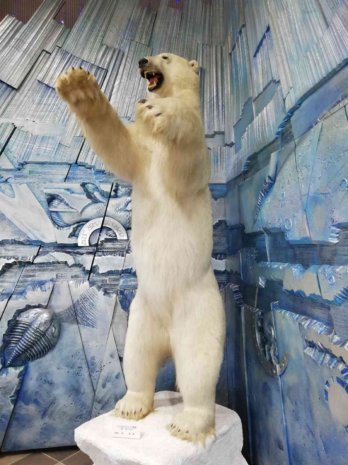投稿された画像