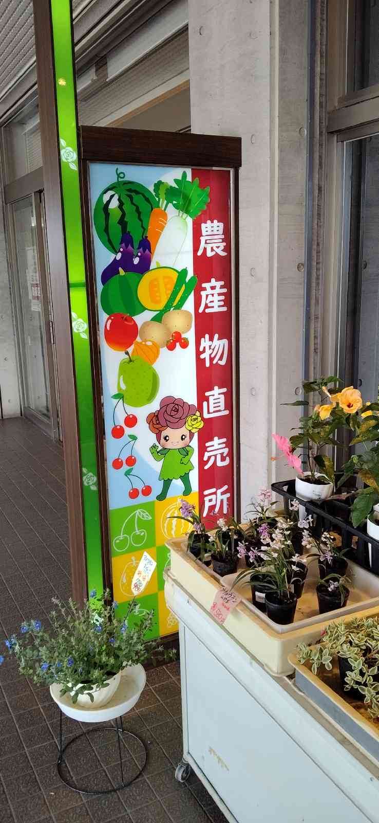 道の駅 むらやまの写真