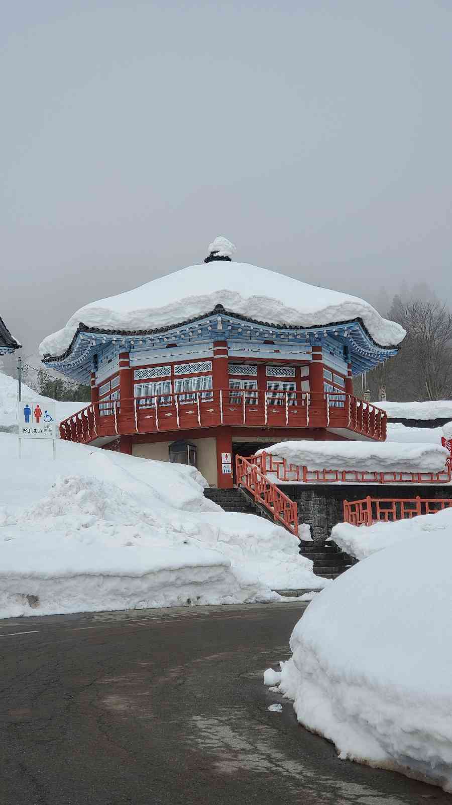 投稿された画像