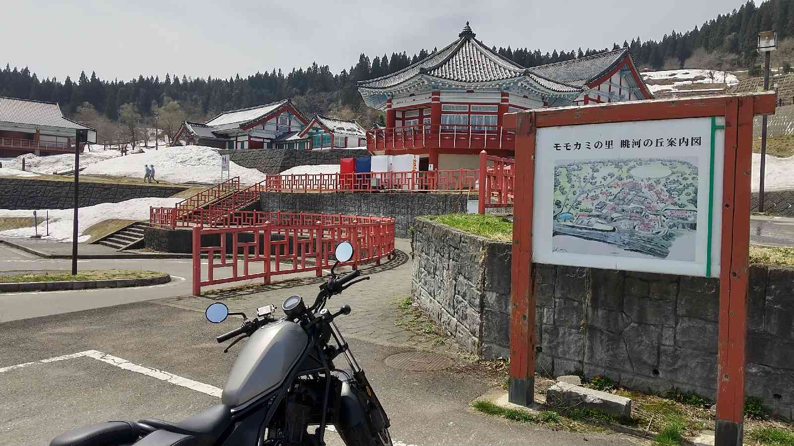 投稿された画像