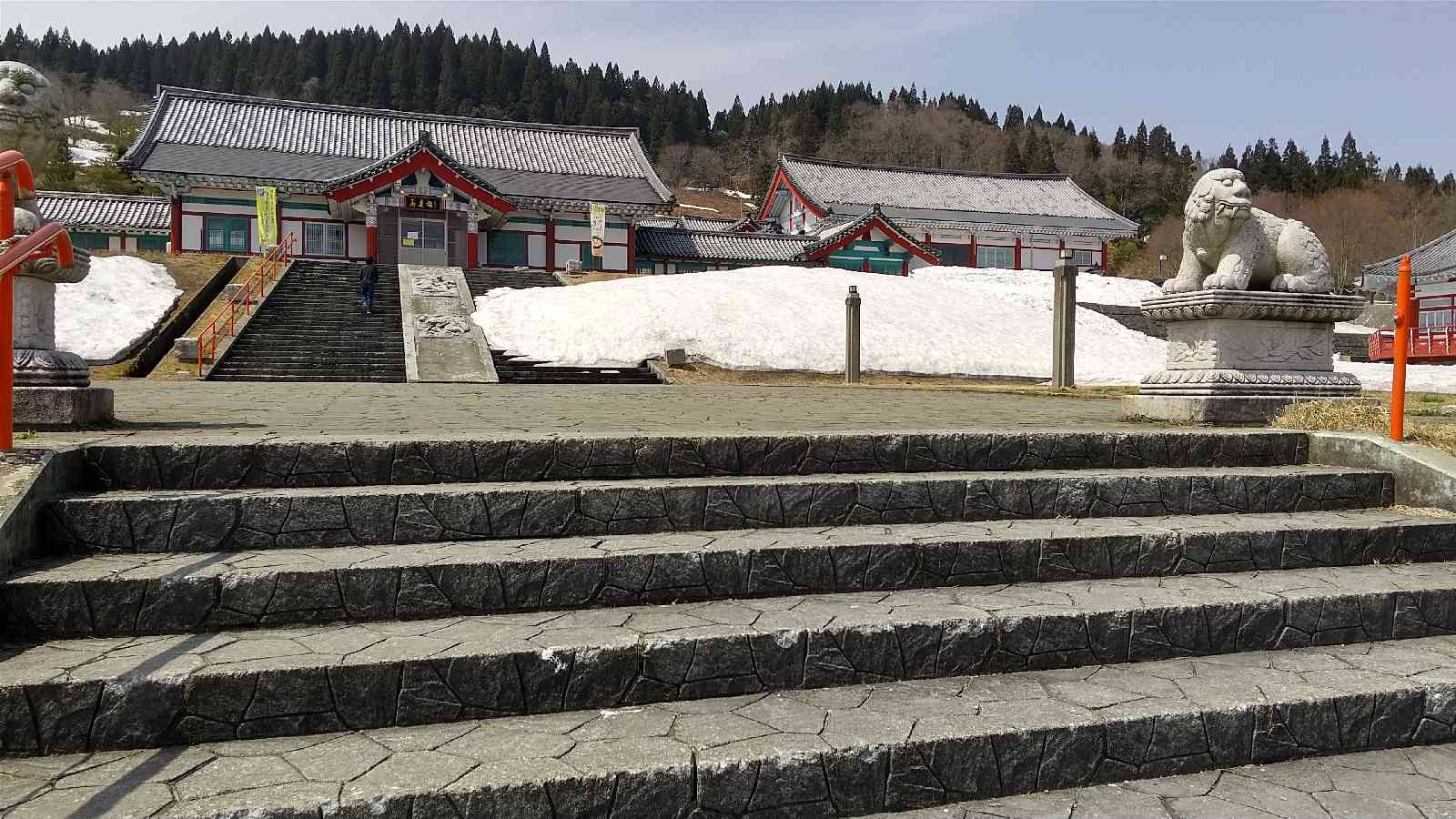 投稿された画像