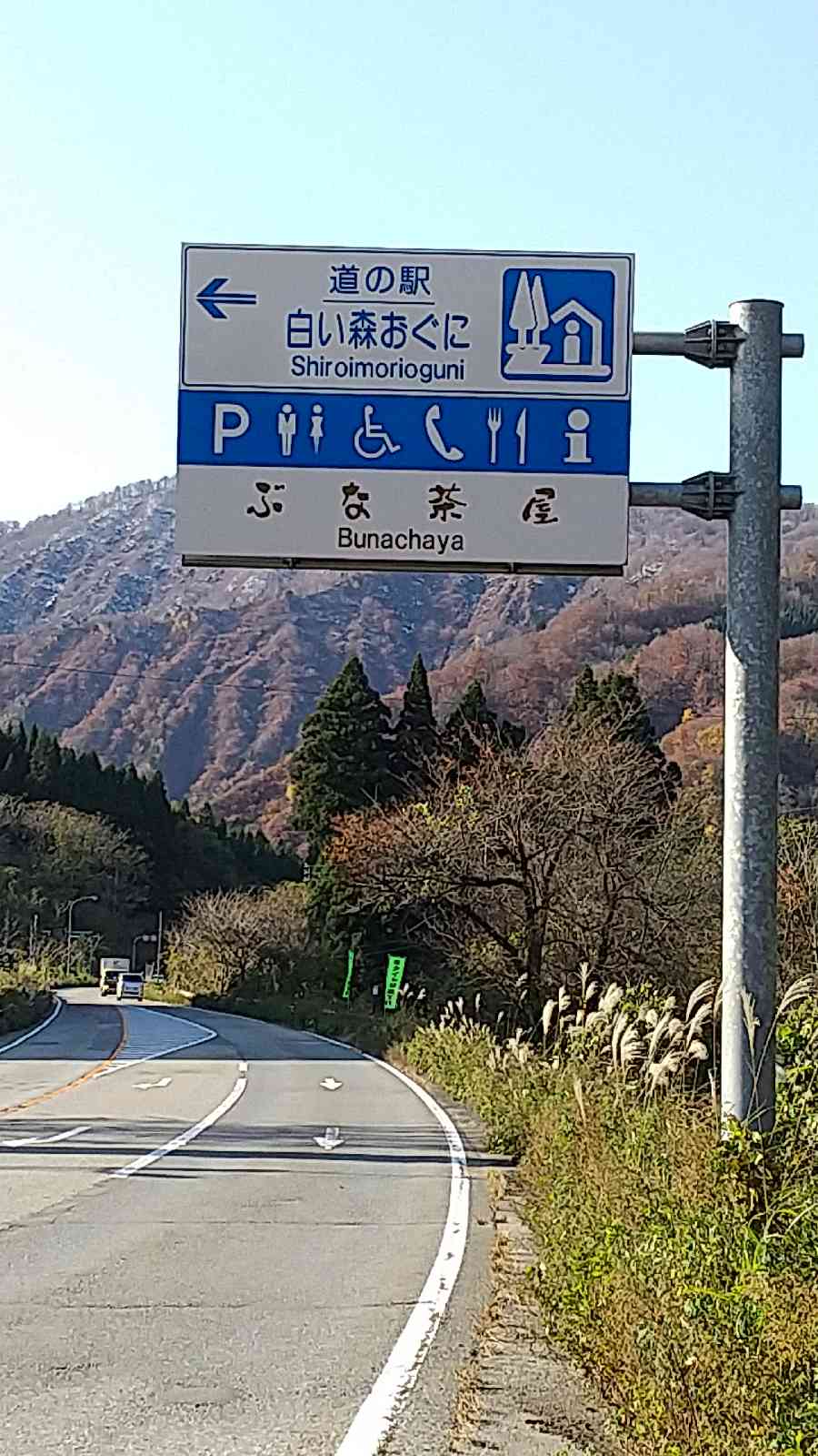 投稿された画像