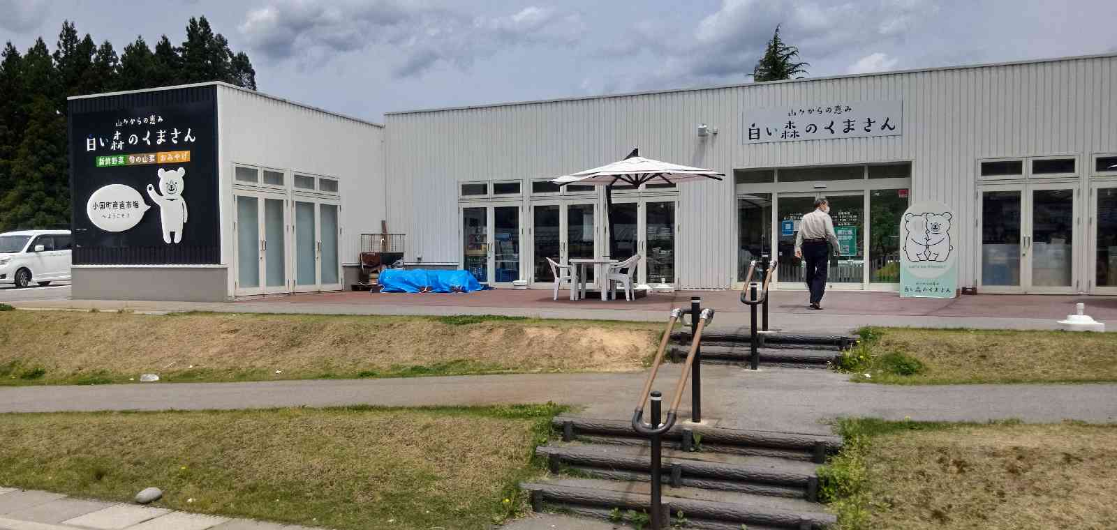 投稿された画像