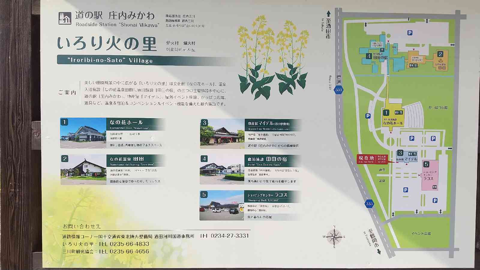 投稿された画像