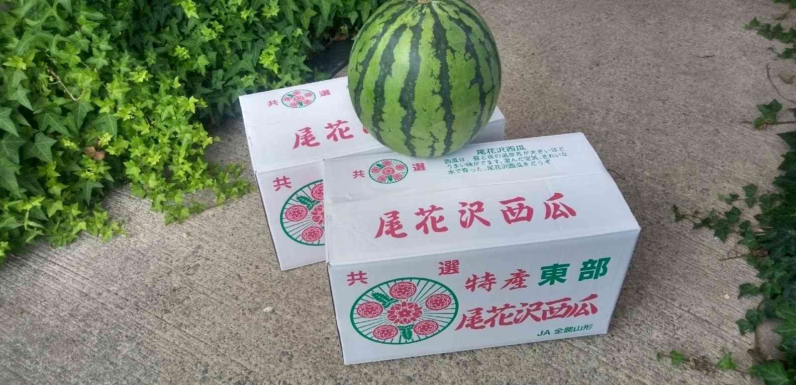 道の駅 尾花沢の写真