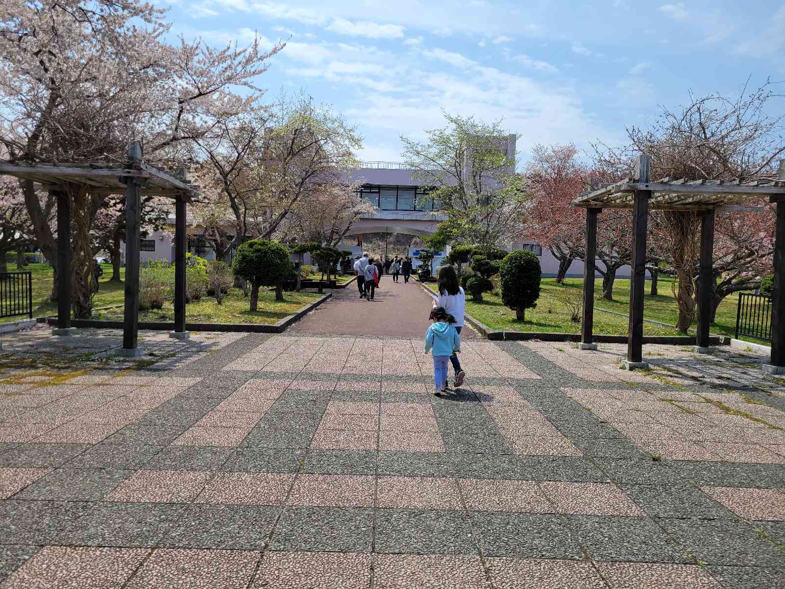 投稿された画像