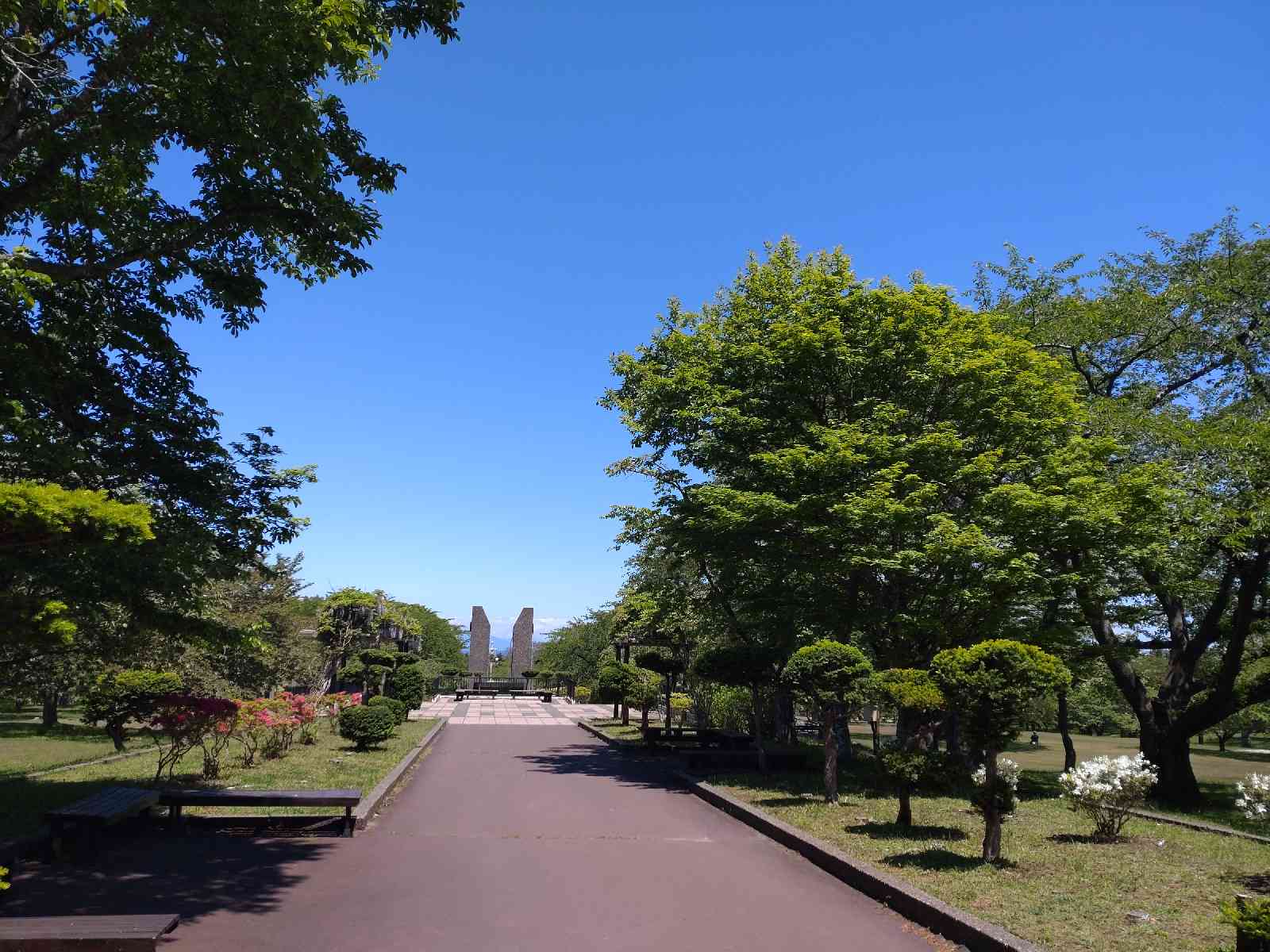 投稿された画像