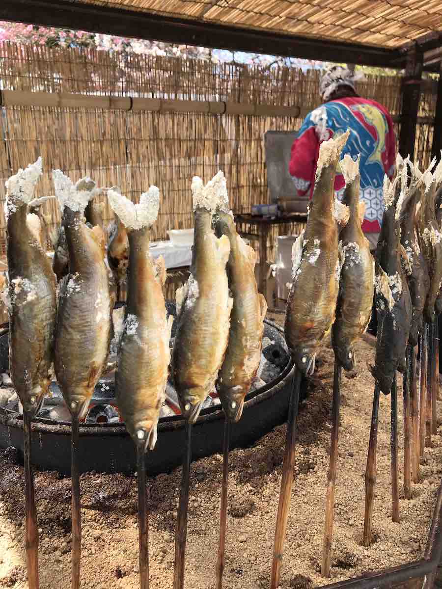 投稿された画像