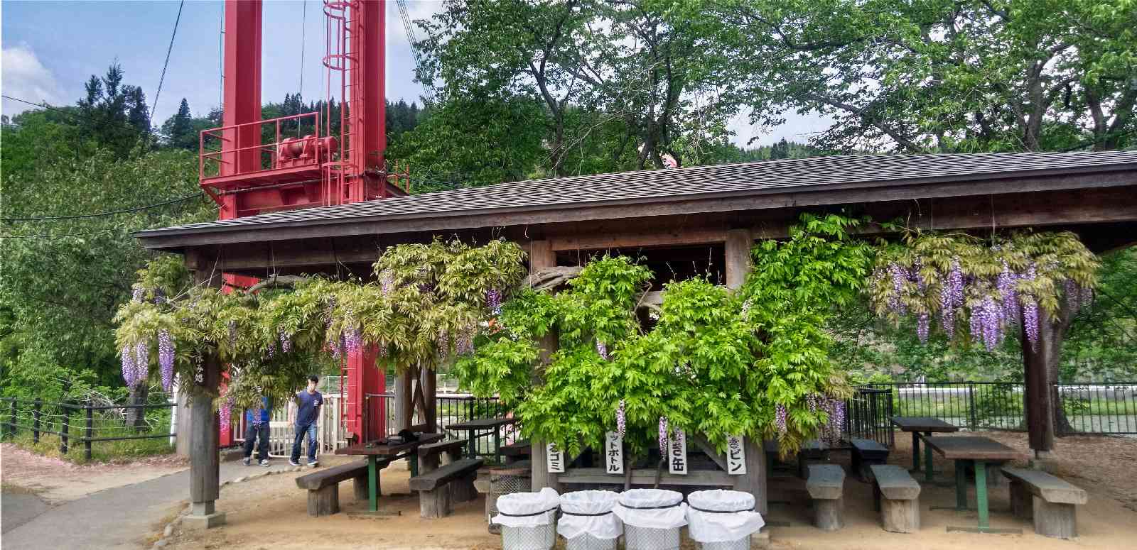 投稿された画像