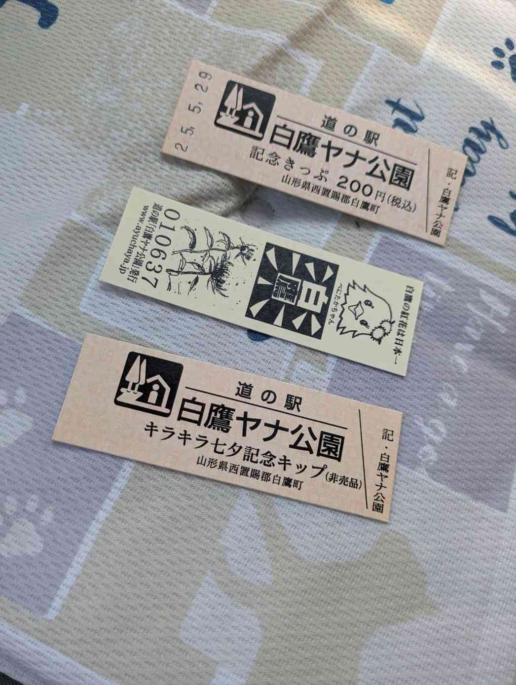 道の駅 白鷹ヤナ公園の写真