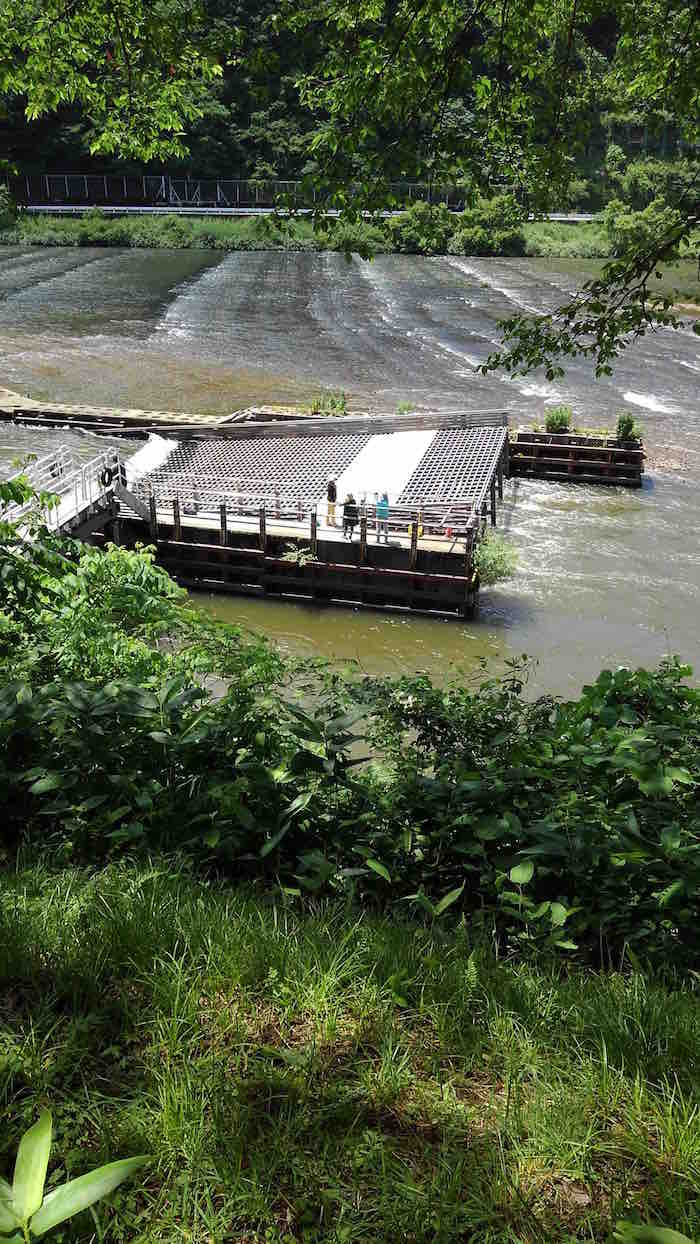 投稿された画像