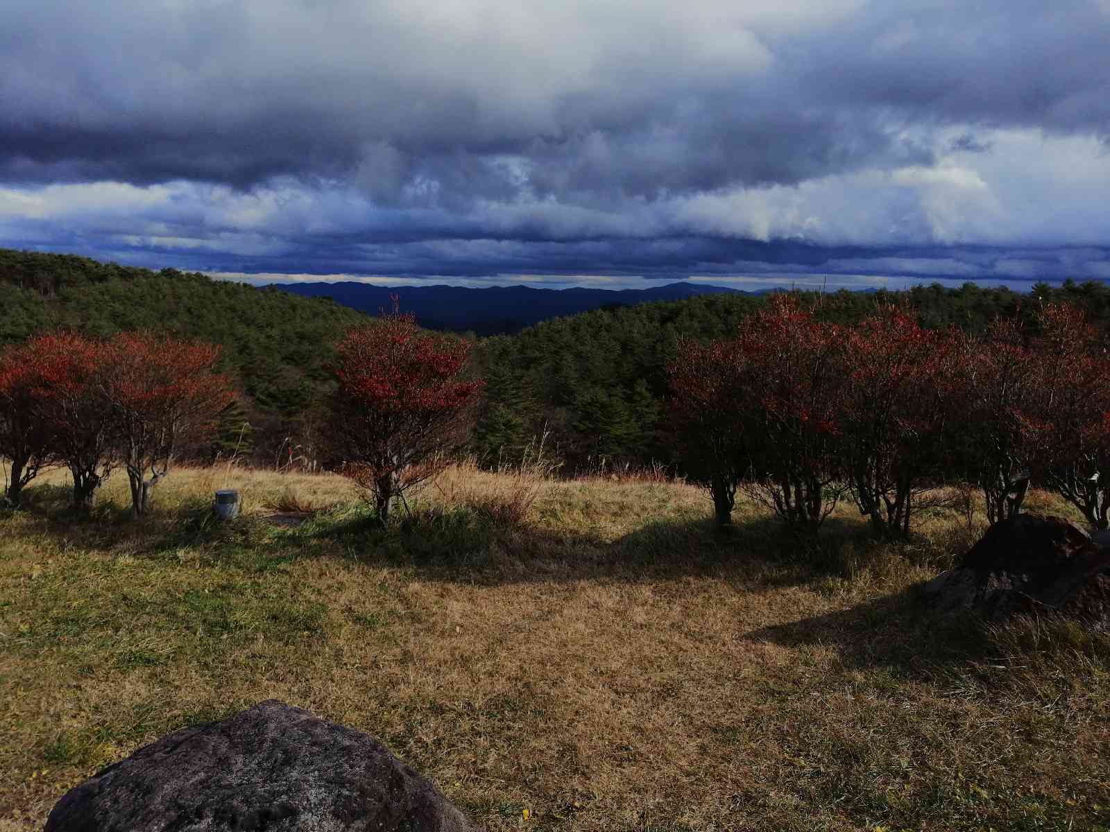 投稿された画像