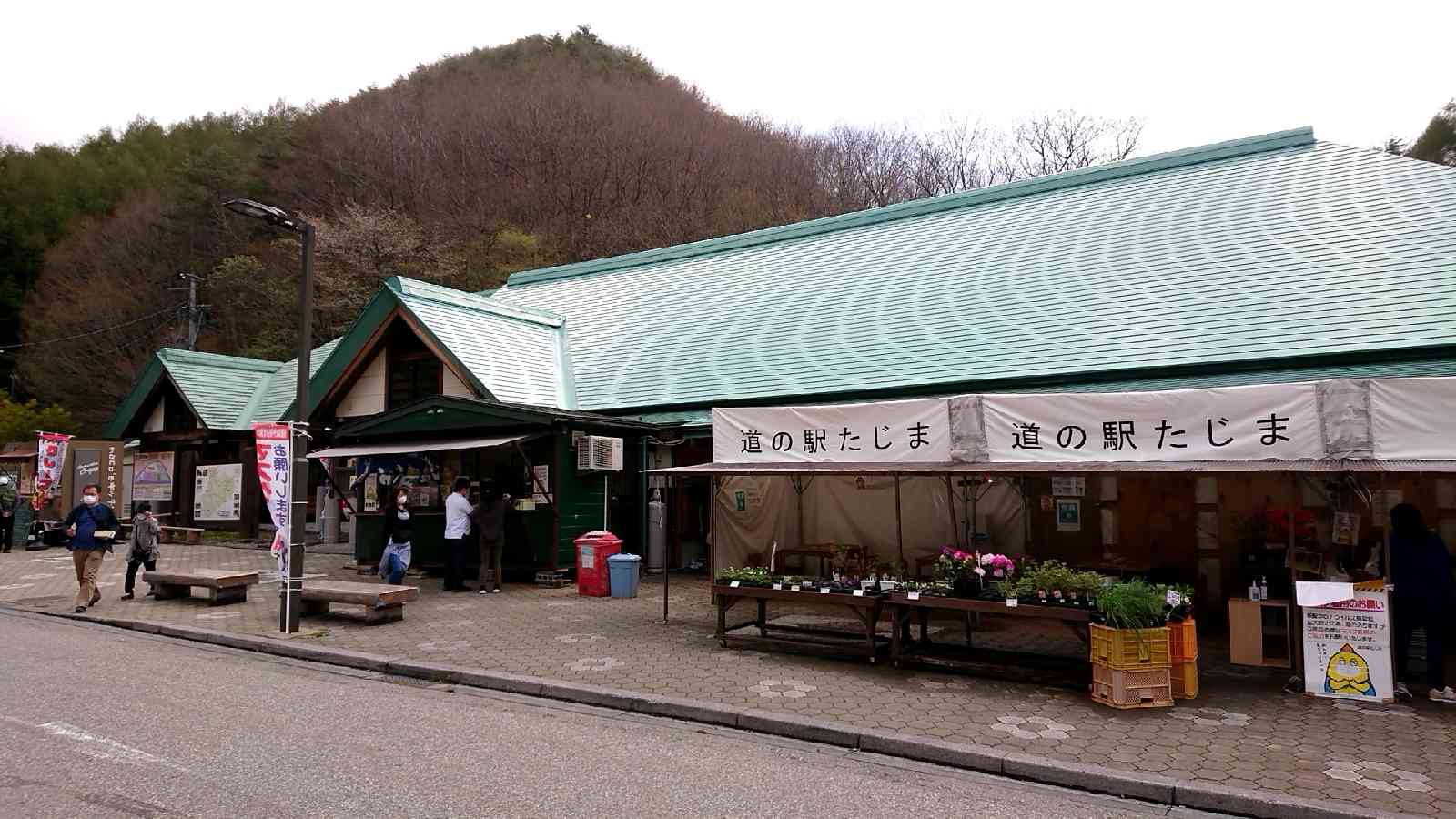 投稿された画像