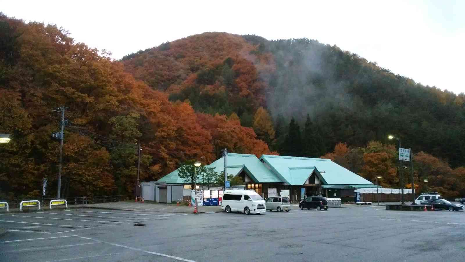 投稿された画像