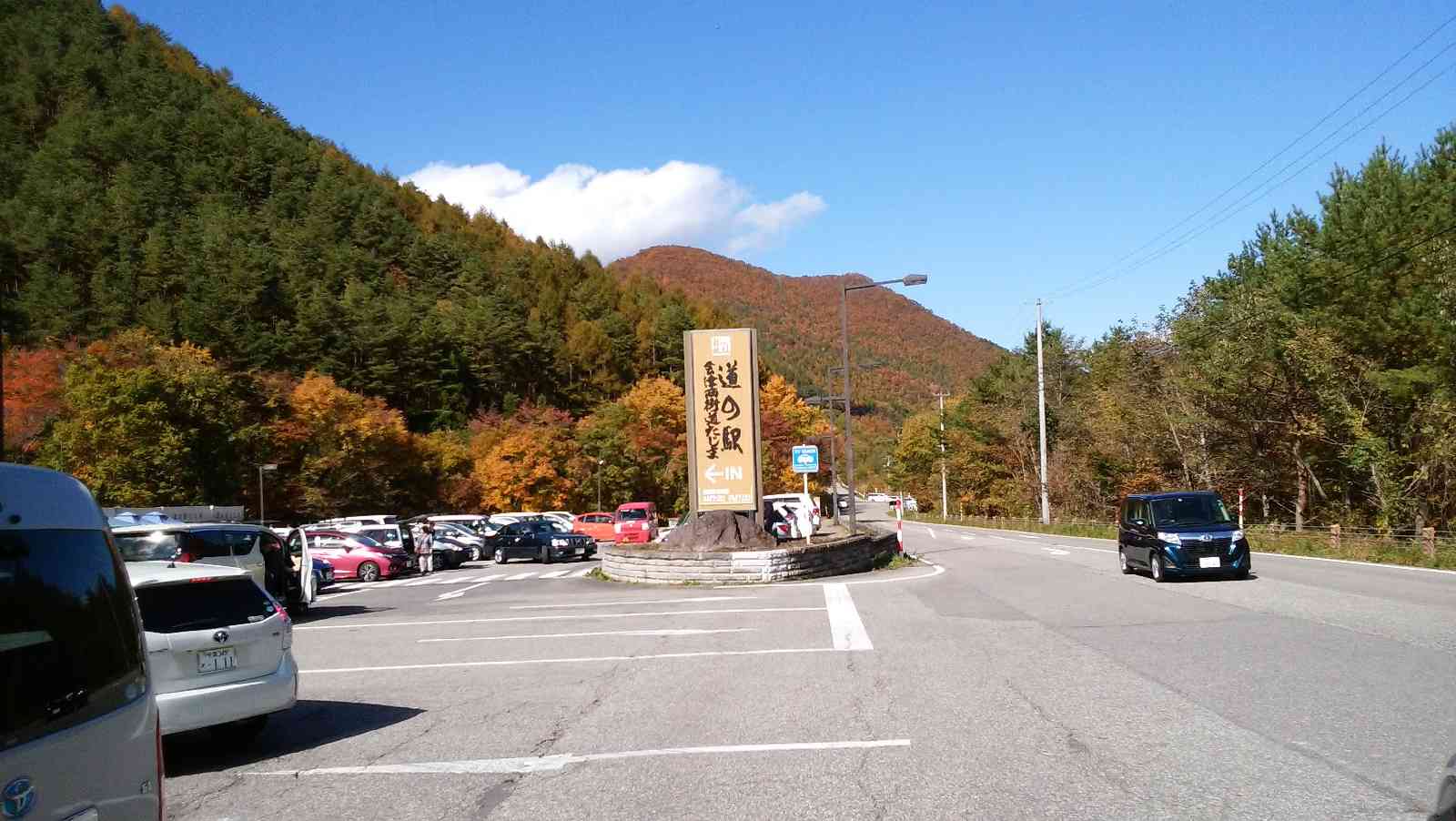 投稿された画像