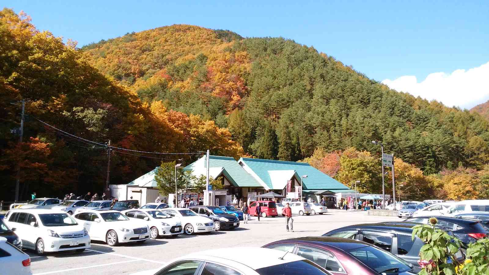 投稿された画像