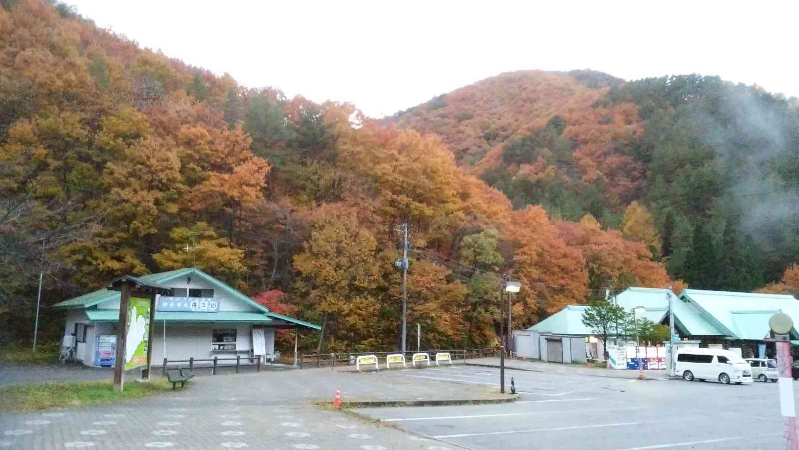 投稿された画像