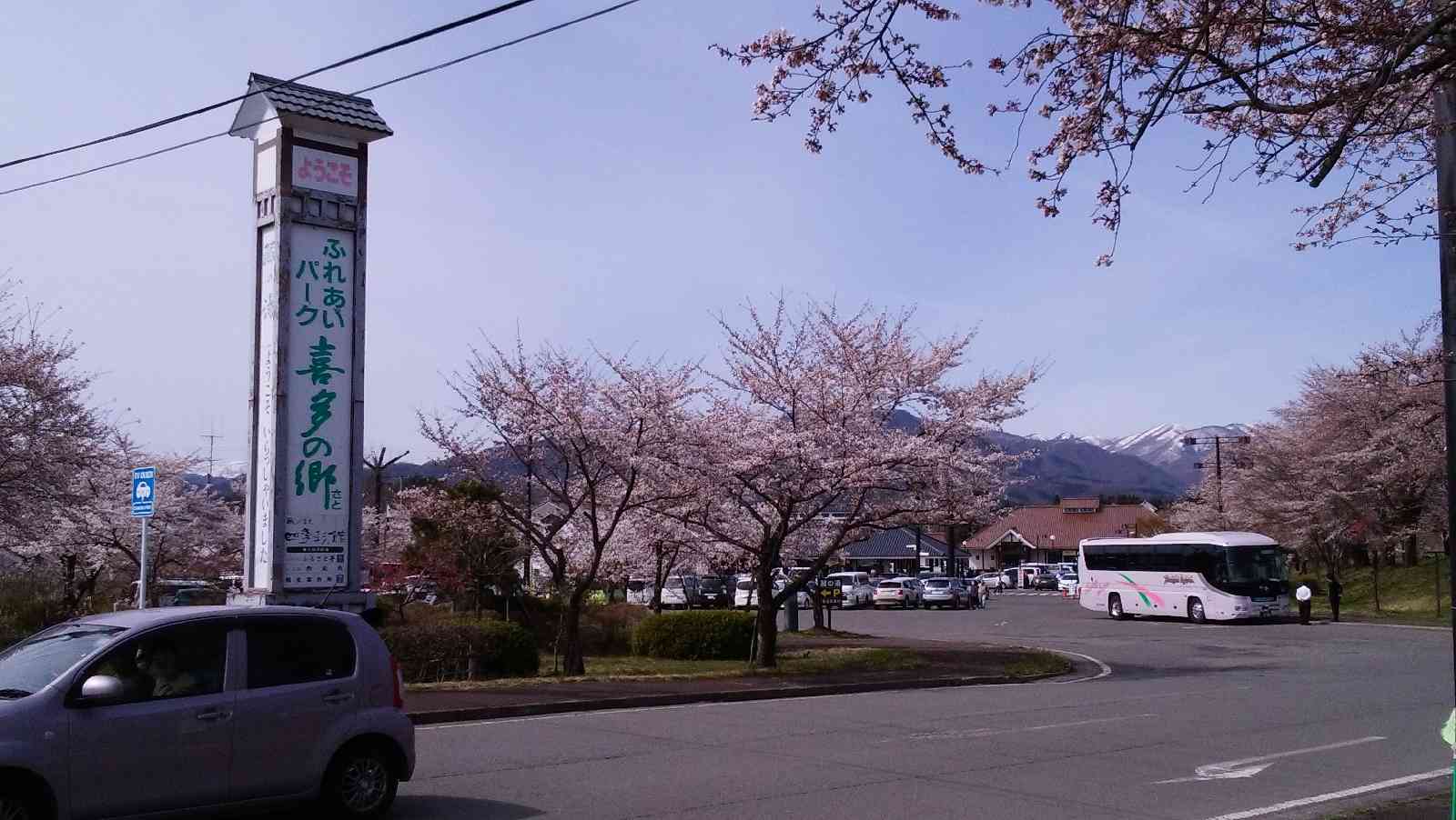 投稿された画像