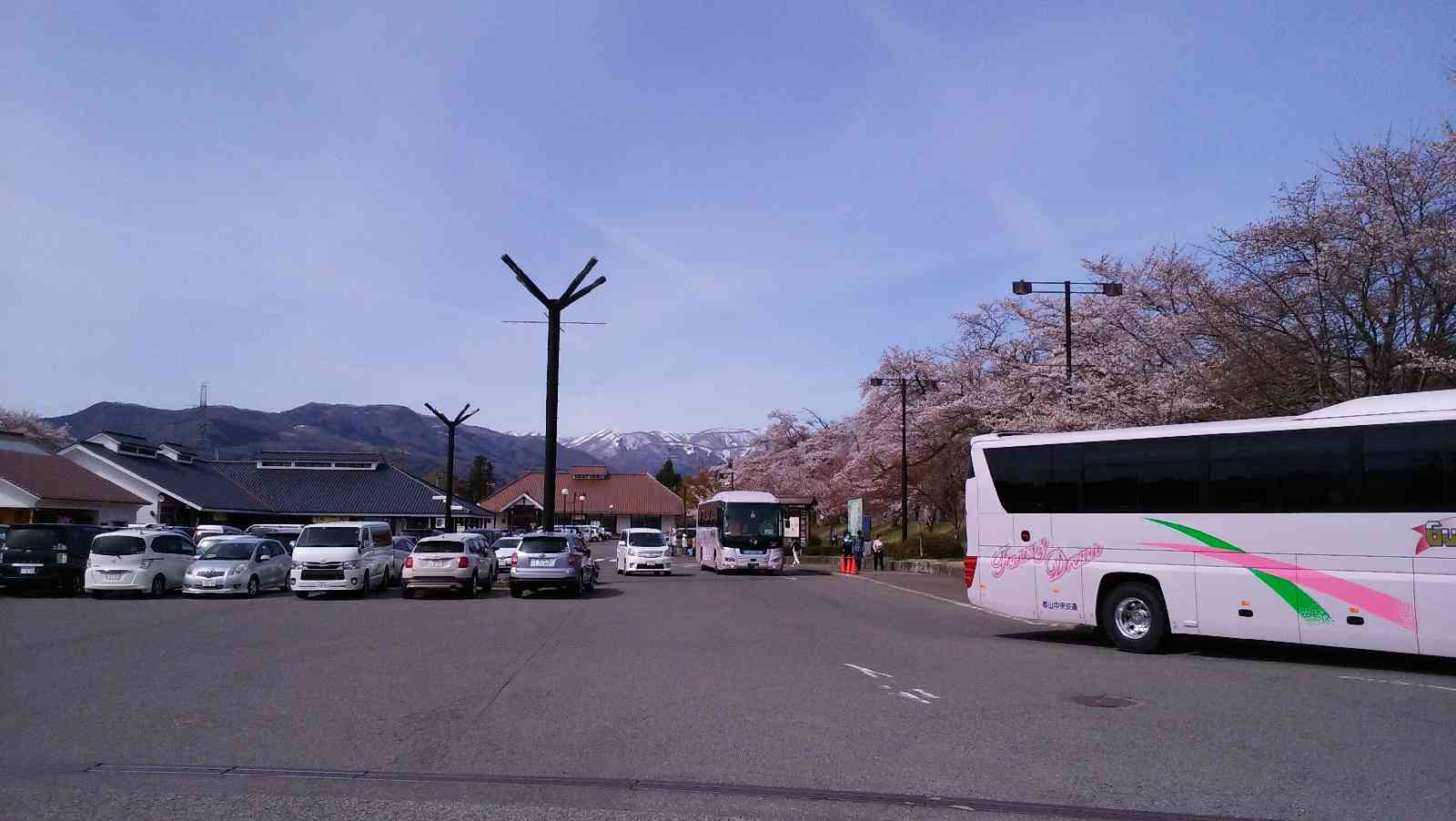 投稿された画像