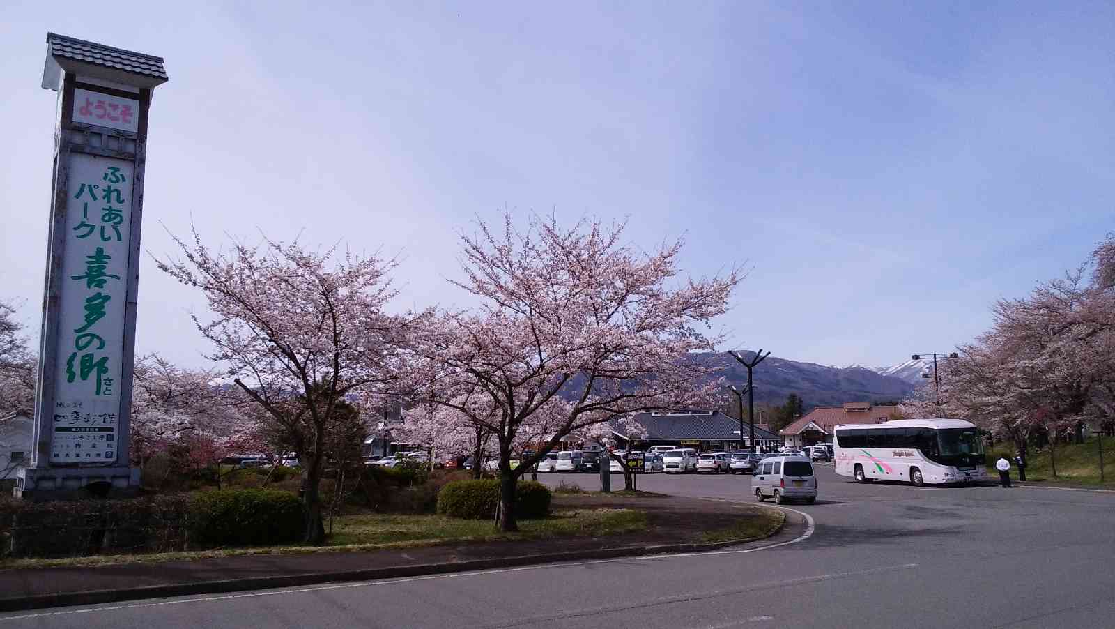 投稿された画像