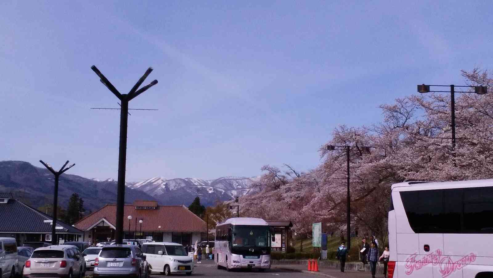 投稿された画像