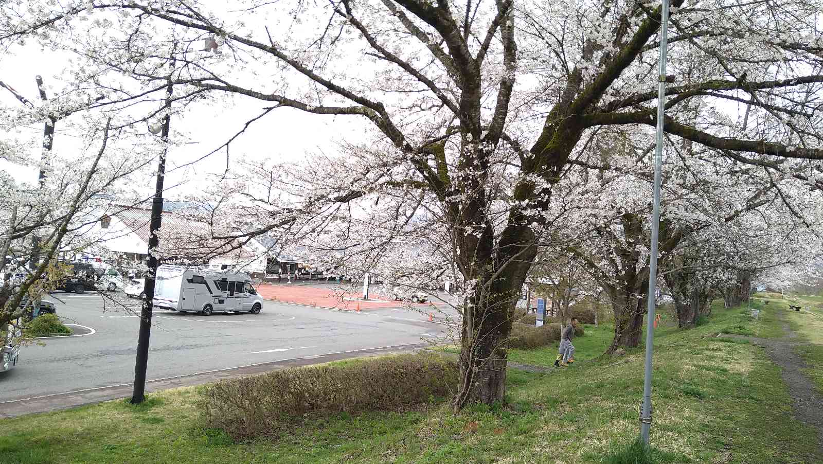 道の駅 喜多の郷の写真