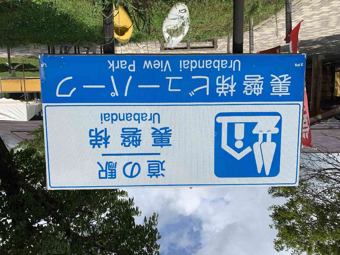 投稿された画像