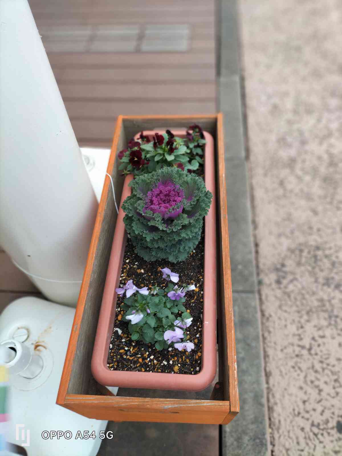 道の駅 ならはの写真
