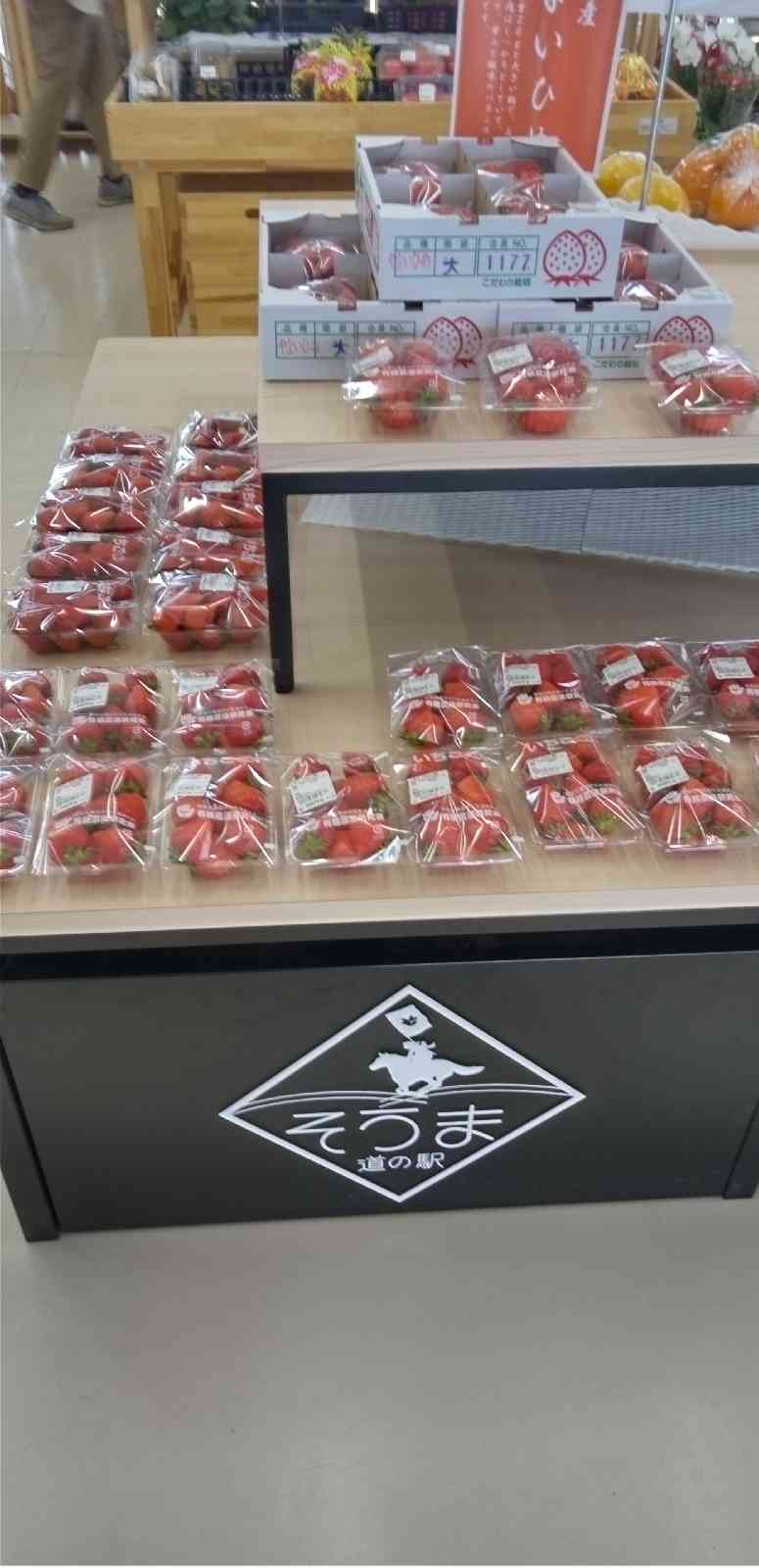 投稿された画像