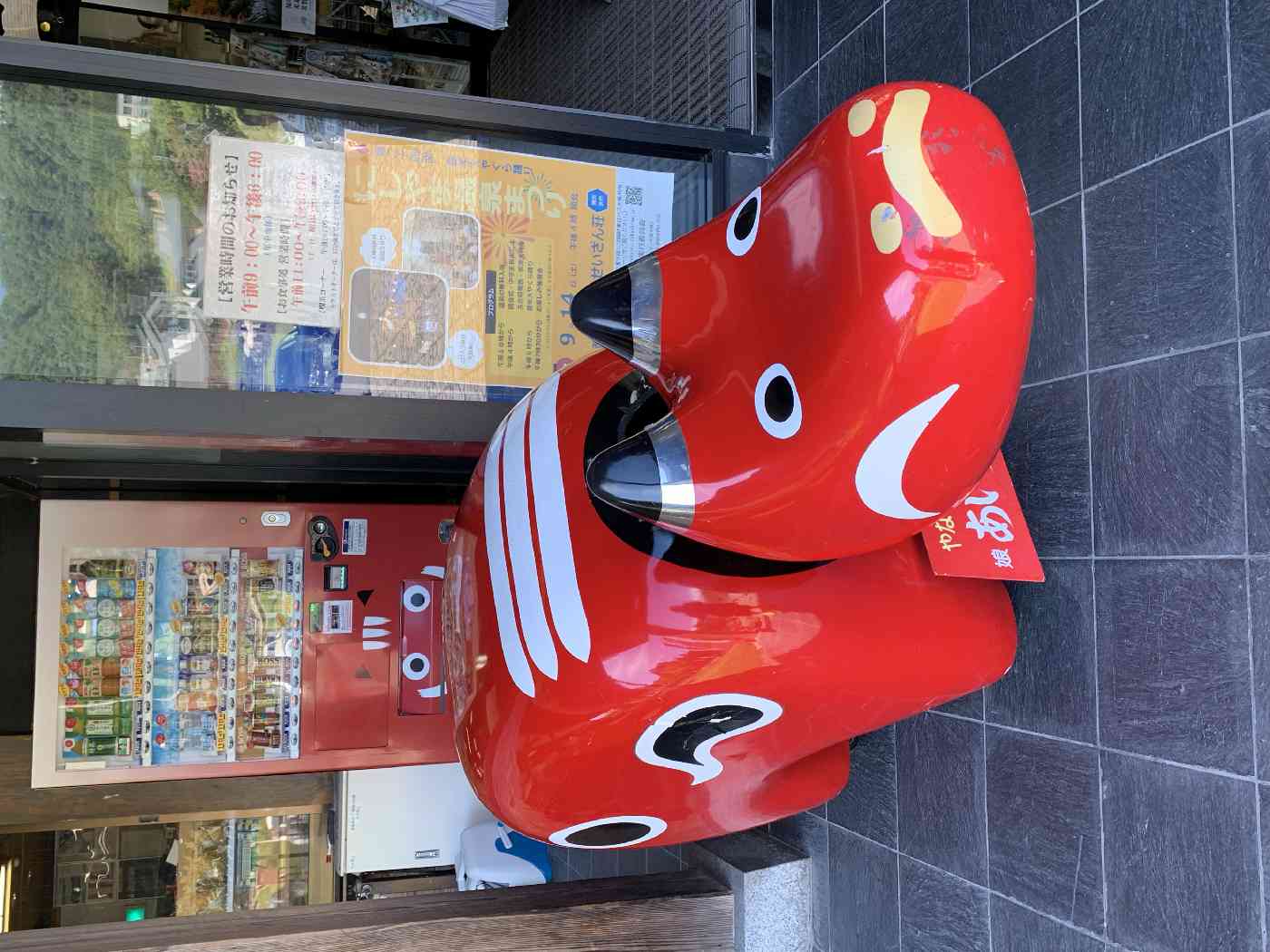 投稿された画像