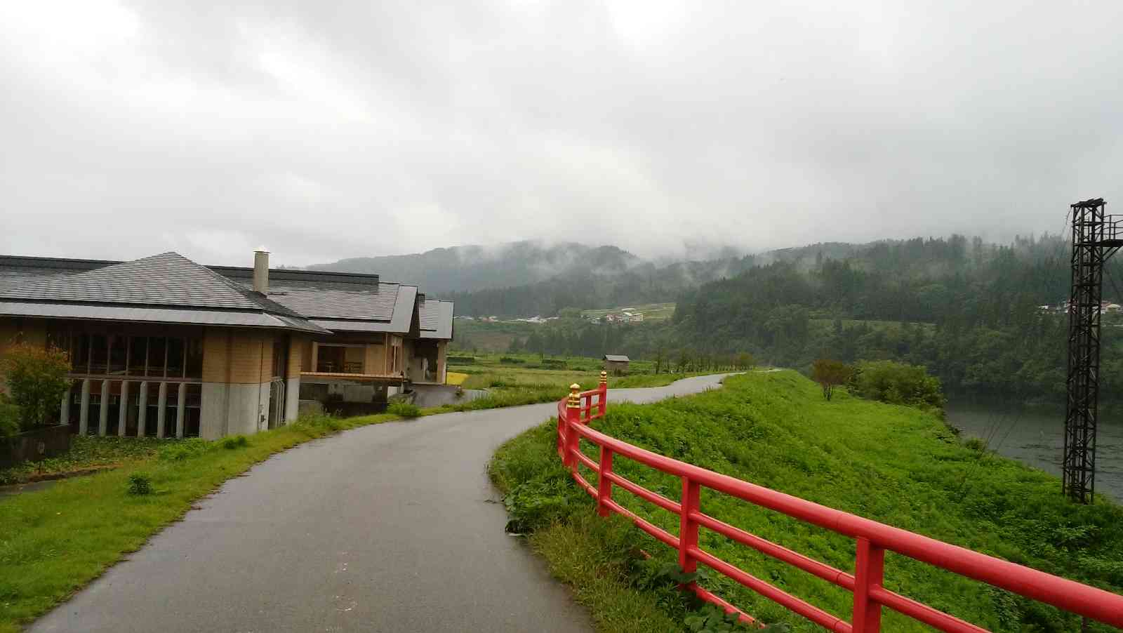 投稿された画像
