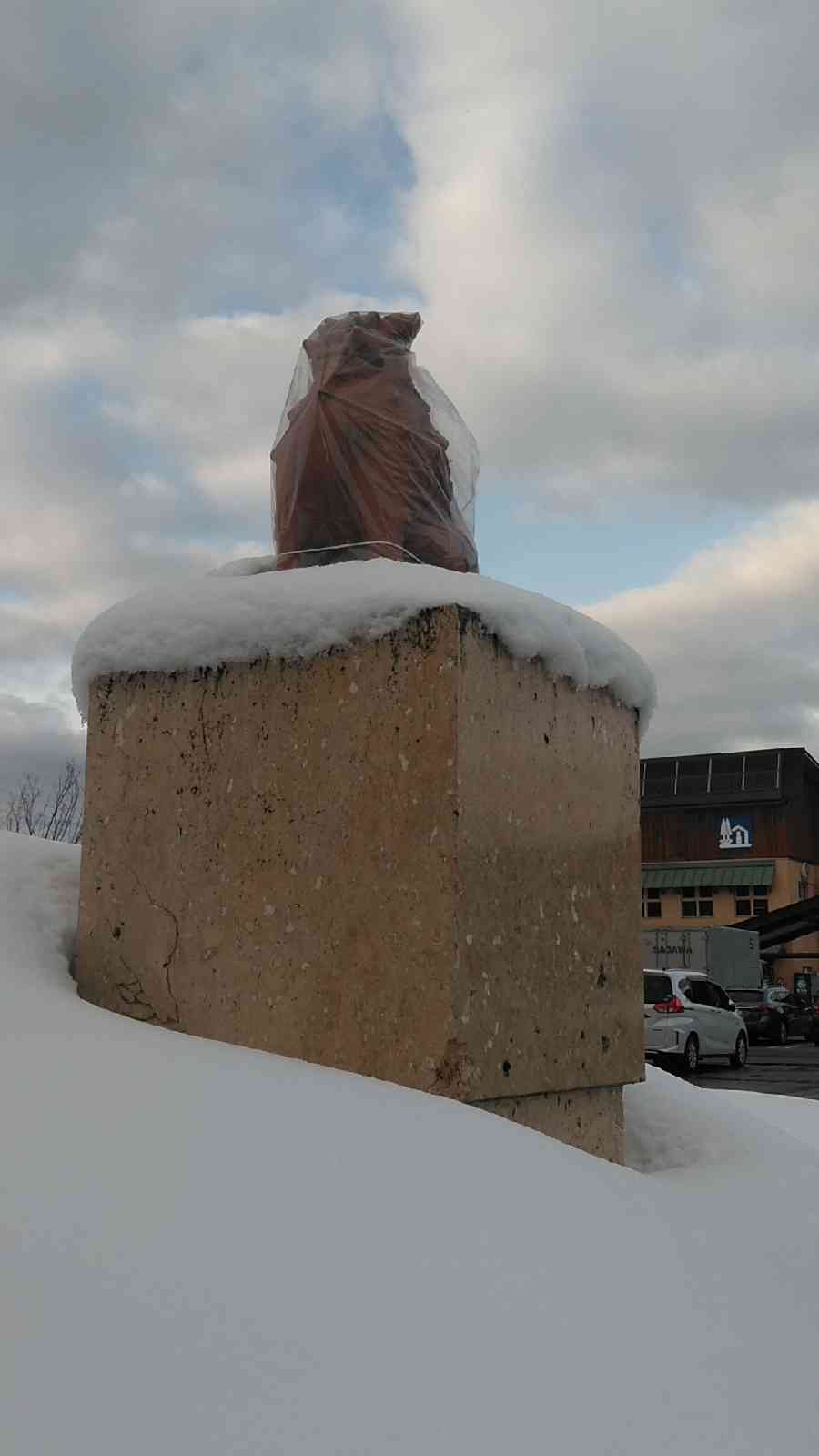 投稿された画像