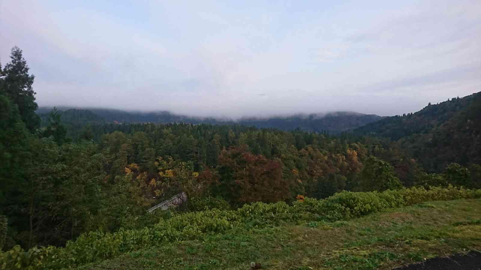 投稿された画像