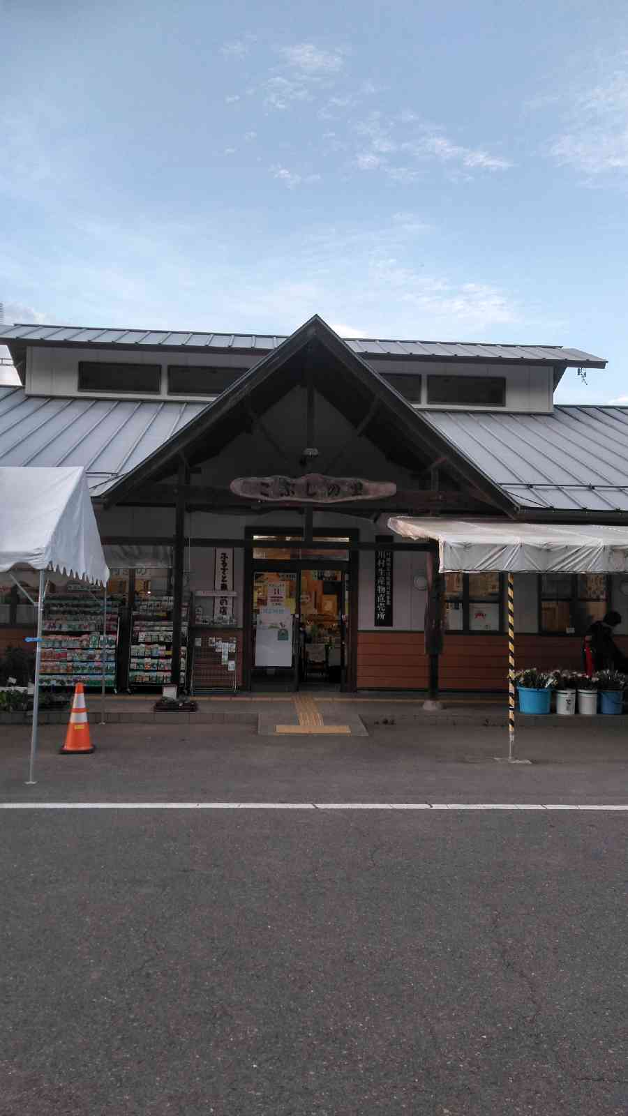 投稿された画像