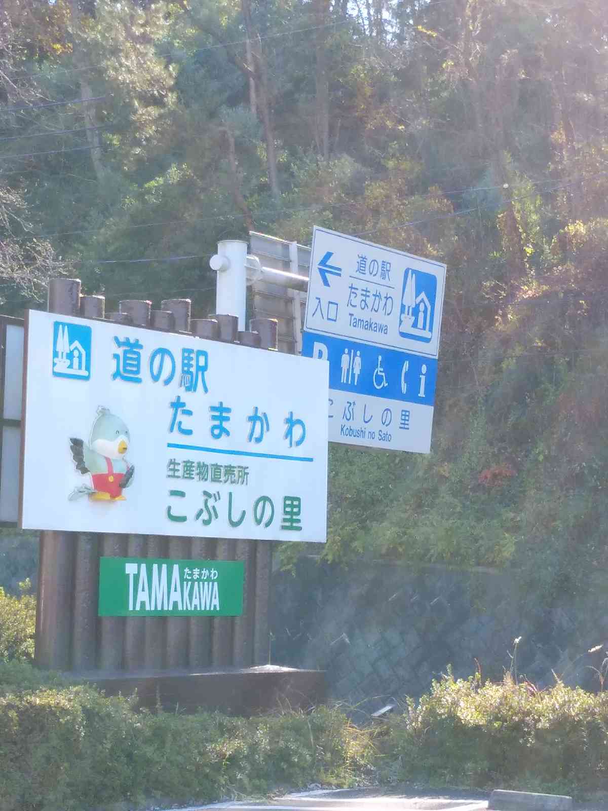 投稿された画像