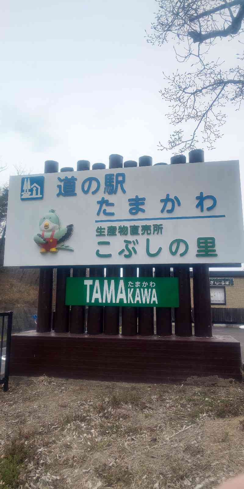 道の駅 たまかわの写真