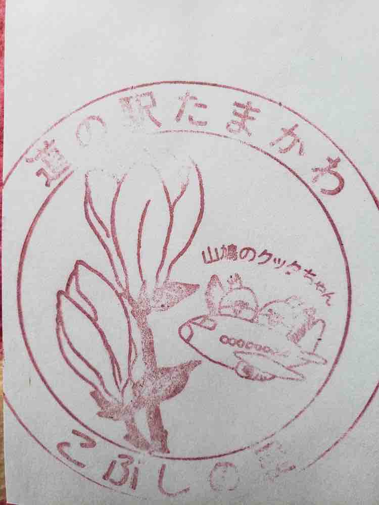 投稿された画像