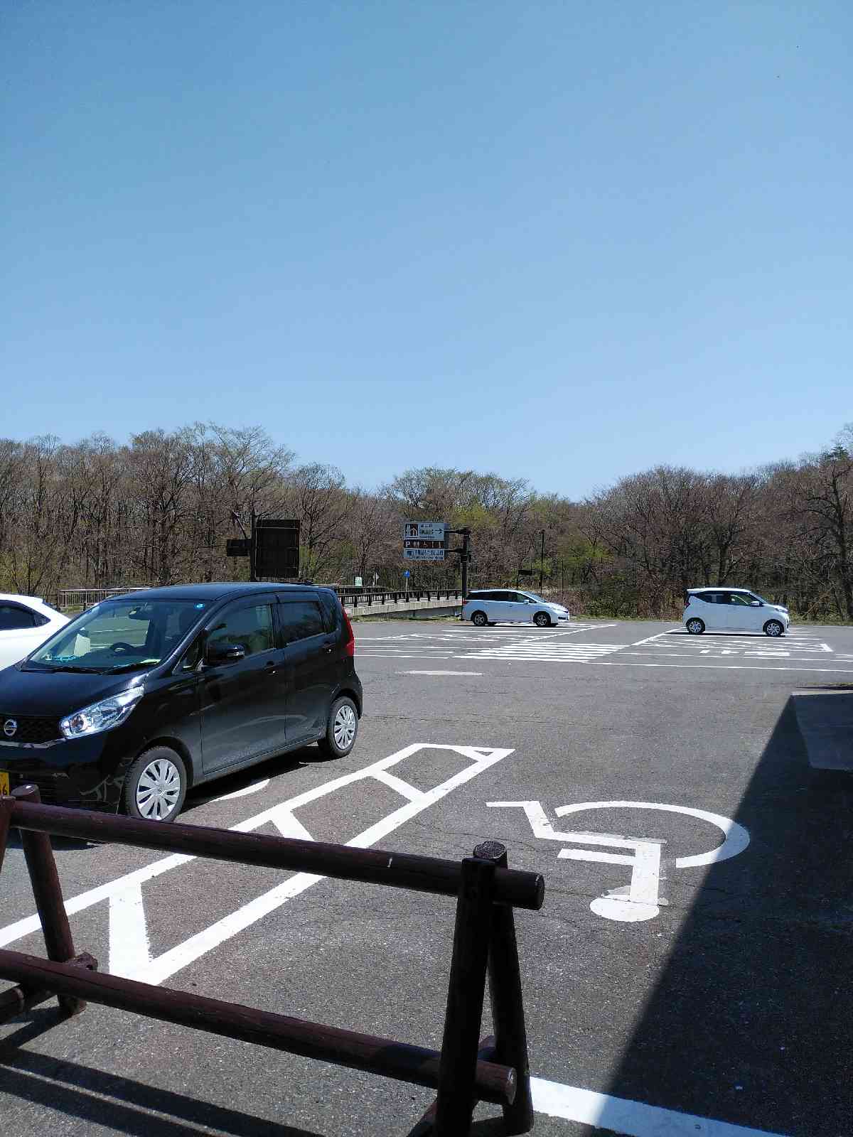 投稿された画像