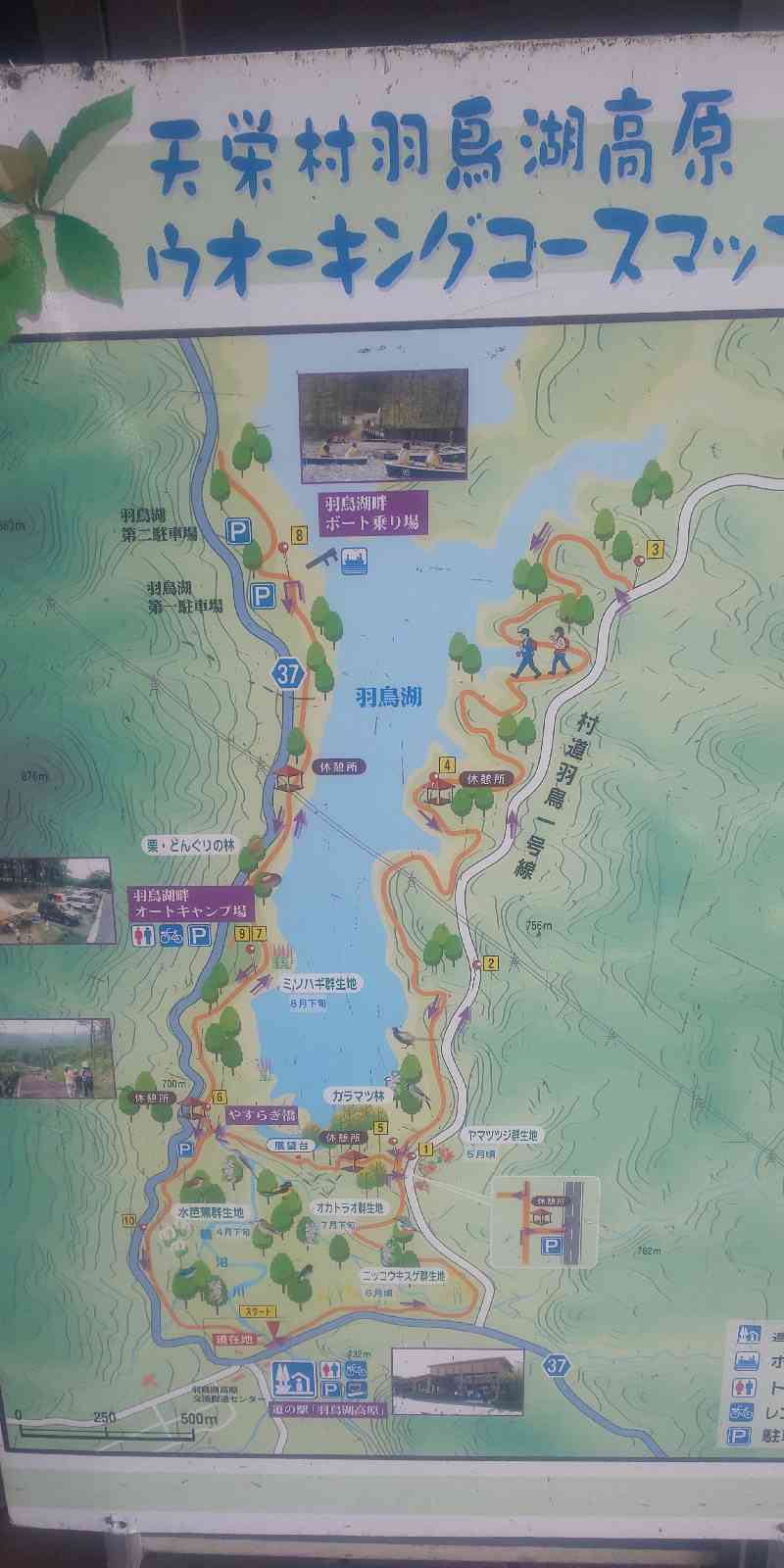 道の駅 羽鳥湖高原の写真