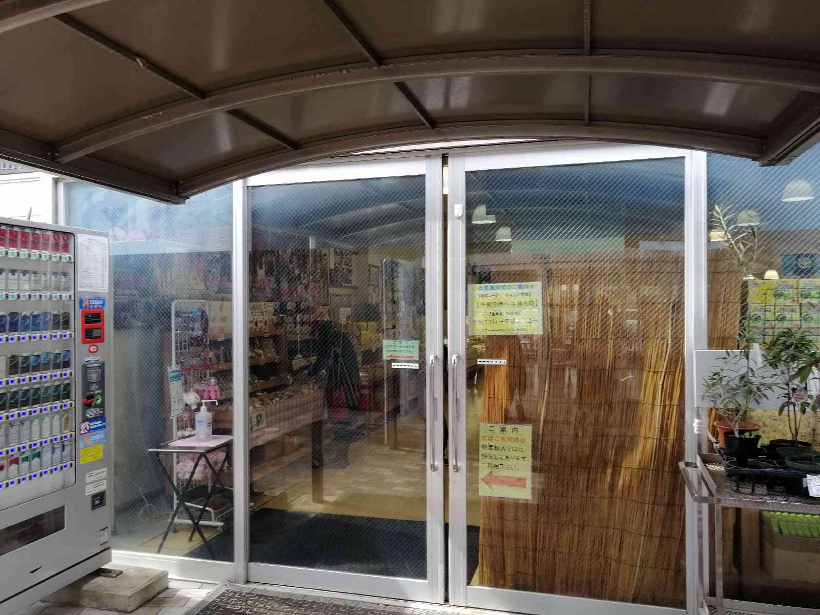 投稿された画像