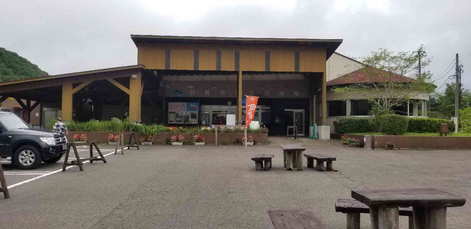 投稿された画像