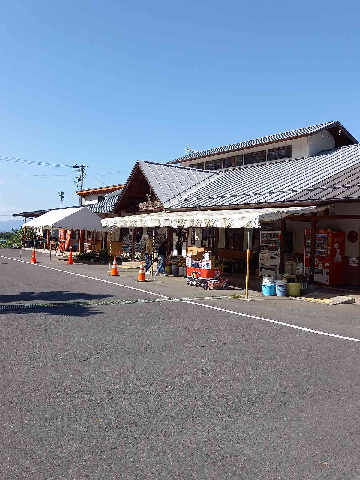 投稿された画像