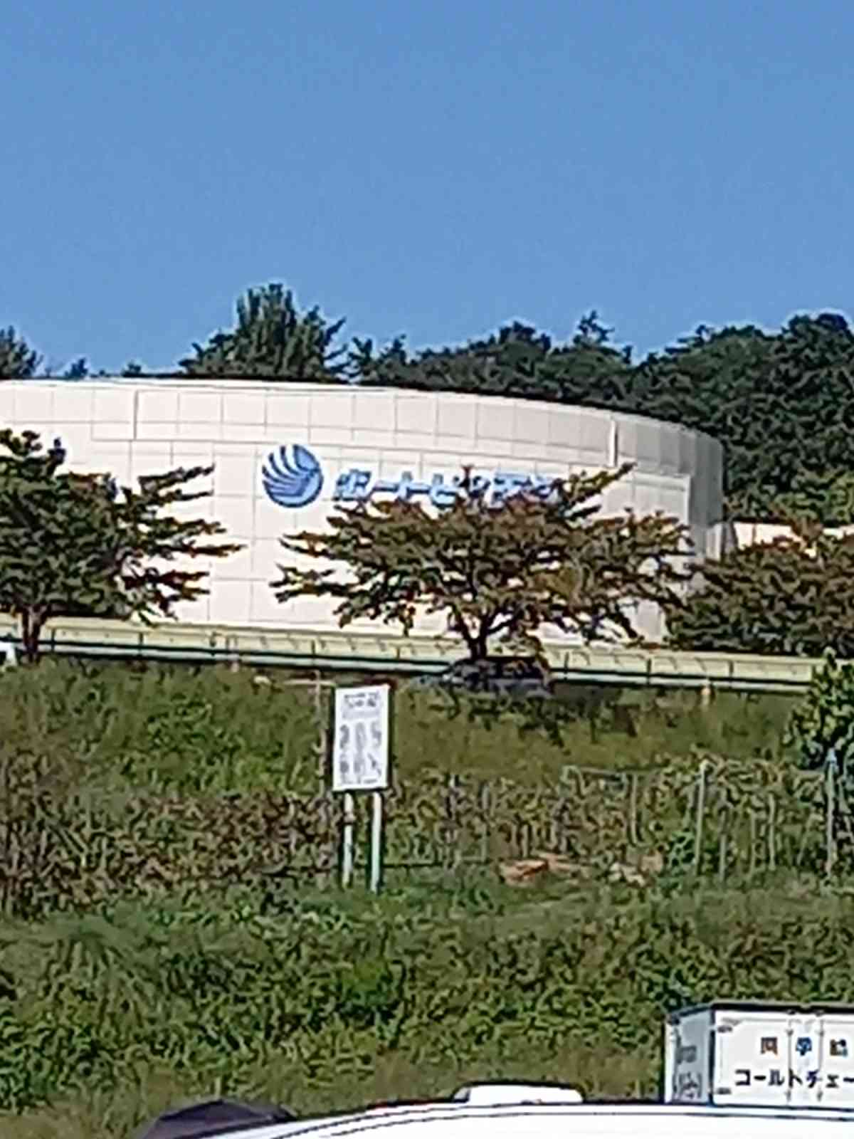 投稿された画像