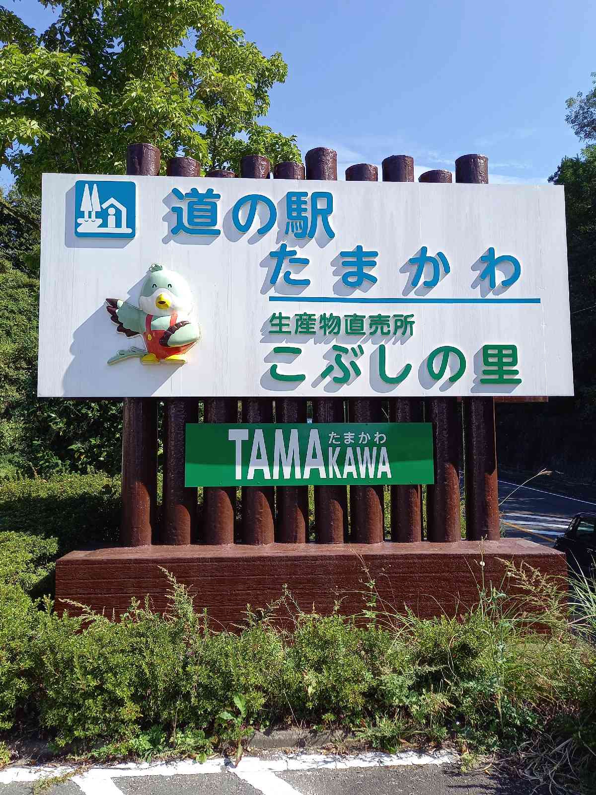 投稿された画像