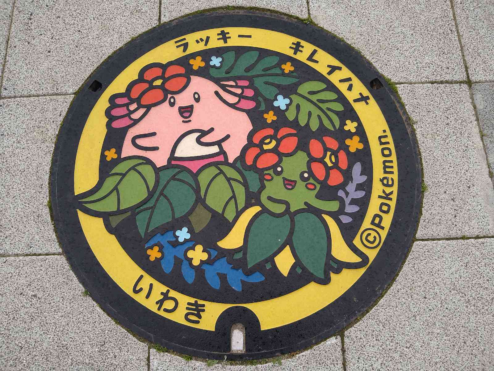 投稿された画像