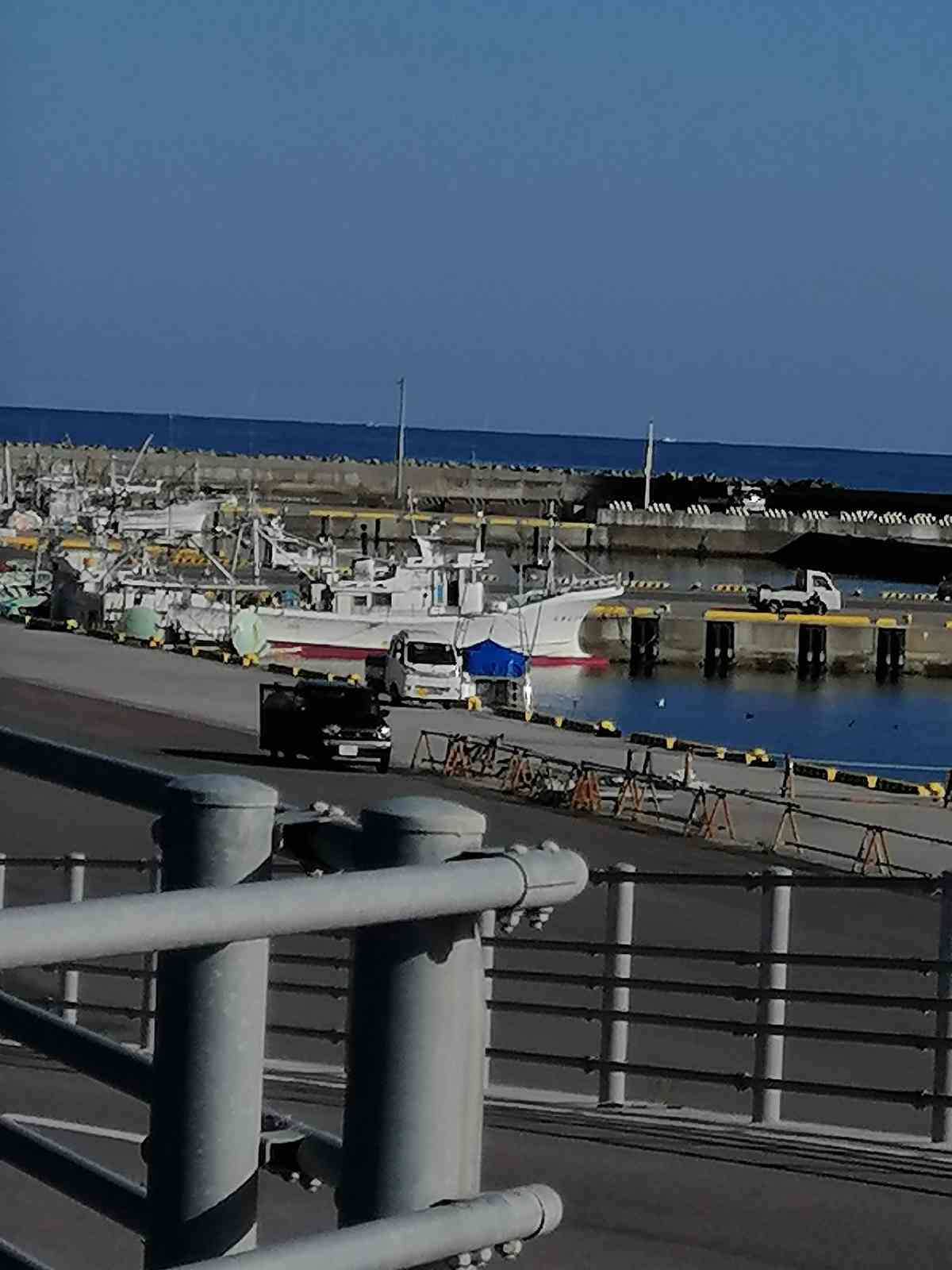 投稿された画像